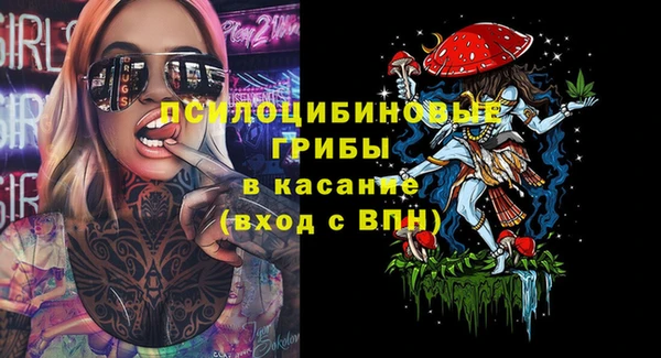 PSILOCYBIN Волосово